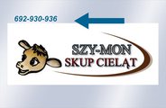 SZY-MON 