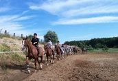 Pozostałe usługi Letnie obozy jeździeckie 2014r Lipiec i sierpie...