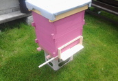 Pasieki Witam sprzedam odkłady pszczele wraz z nowymi ulami...