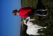 Kozy Swieze kozie mleko z ekologicznej hodowli