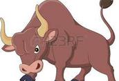 Jałówki na ubój skup bydła maciejczyk: każde jałówki, krowy, byki...