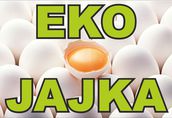 Jaja Witam sprzedam jajka ok 350 sztuk tygodniowo cz...