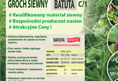 Kwalifikowane nasiona grochu siewnego BATUTA C/1 1