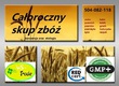 Kukurydza Kupię zboża konwencjonalne i ekologiczne