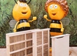 Pozostałe pszczelarstwo Jesteśmy producentem mat trzcinowych