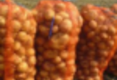 Ukraina.Ziemniaki 0, 25 zl/kg, kapusta 0, 40 zl/kg biala.Grunty