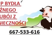 Poza klasyfikacją 667-533-616