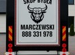 Ubój z konieczności Skup bydła Na ubój z konieczno