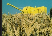 New Holland NH Instrukcja obsługi Clayson 1520
