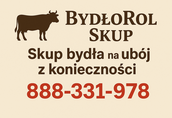 Skup bydła