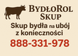 Krowy na ubój Skup bydła Na ubój z konieczno