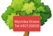 Wycinka drzew karczowanie nieuzytków Rzeszów