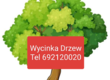 Dom i ogród Wycinka drzew karczowanie przycinanie