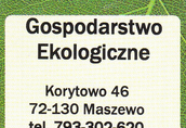 sadzonki leszczyny wielkoowocowej 5