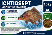 Ichtiosept lekarstwo pleśniawka posocznica 10kg